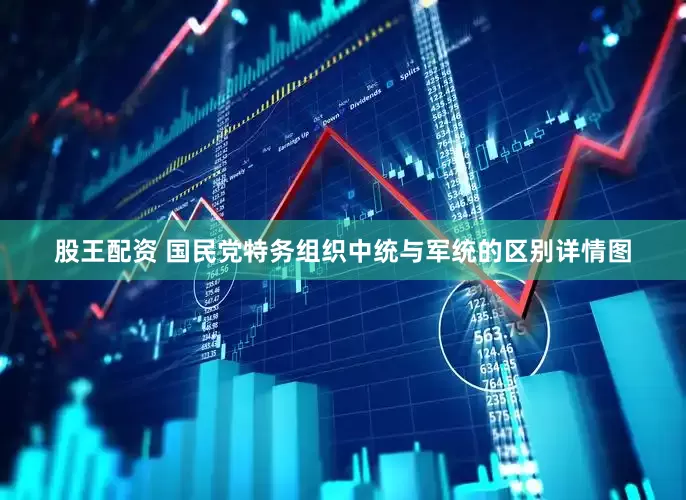 股王配资 国民党特务组织中统与军统的区别详情图