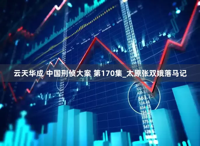 云天华成 中国刑侦大案 第170集_太原张双娥落马记