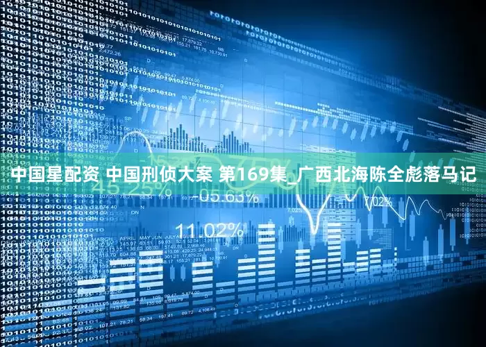 中国星配资 中国刑侦大案 第169集_广西北海陈全彪落马记