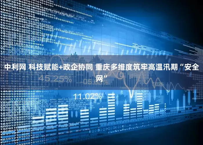 中利网 科技赋能+政企协同 重庆多维度筑牢高温汛期“安全网”