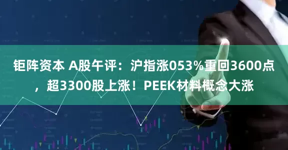 钜阵资本 A股午评：沪指涨053%重回3600点，超3300股上涨！PEEK材料概念大涨
